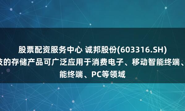 股票配资服务中心 诚邦股份(603316.SH)：芯存科技的存储产品可广泛应用于消费电子、移动智能终端、PC等领域