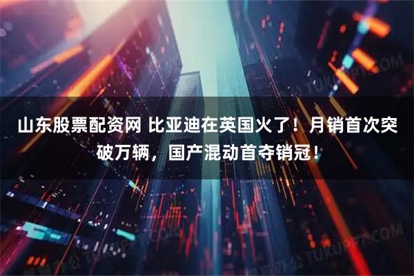 山东股票配资网 比亚迪在英国火了！月销首次突破万辆，国产混动首夺销冠！